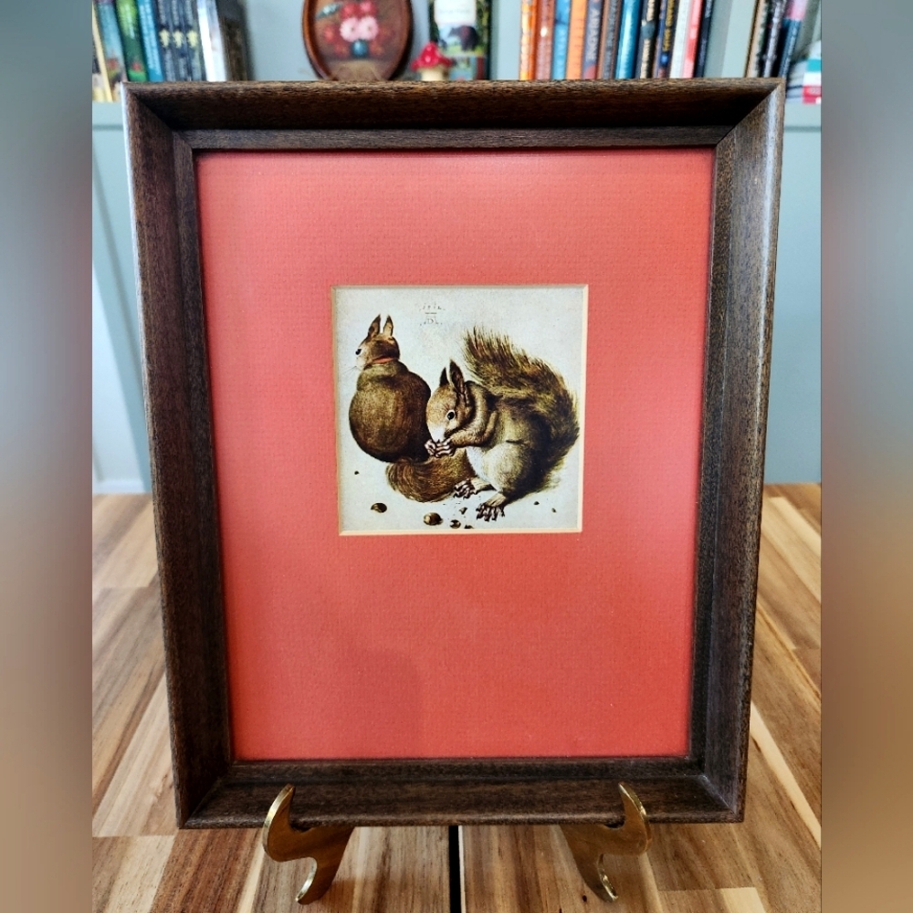 Vintage Albrecht Durer "Squirrel" Print